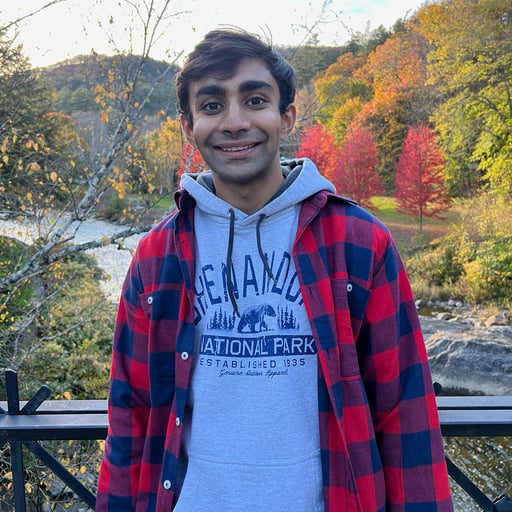 Vivek Trivedy